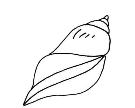海螺怎么畫比較簡單