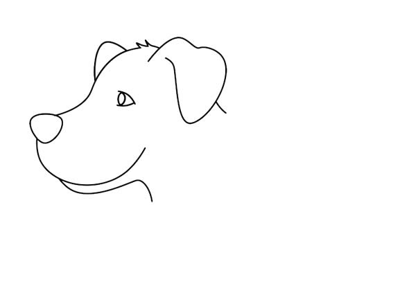 導盲犬簡筆畫詳細步驟