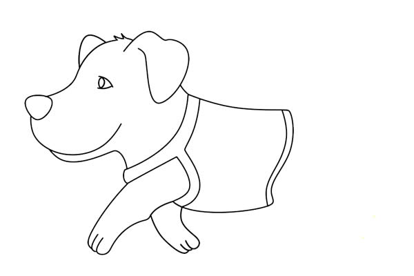 導盲犬簡筆畫詳細步驟