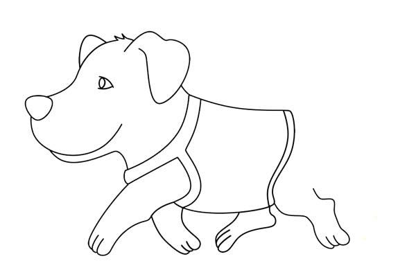 導盲犬簡筆畫詳細步驟