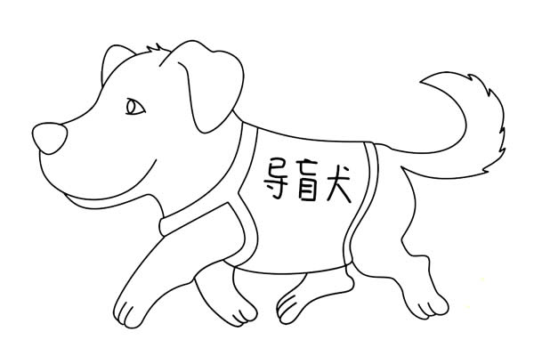 導盲犬簡筆畫詳細步驟