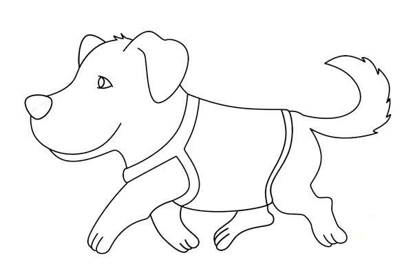 導盲犬簡筆畫詳細步驟