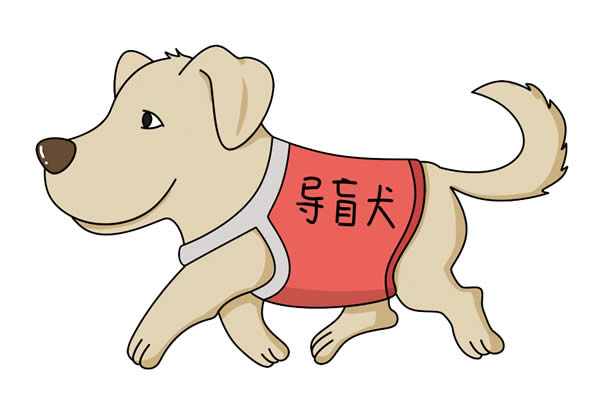 導盲犬簡筆畫詳細步驟