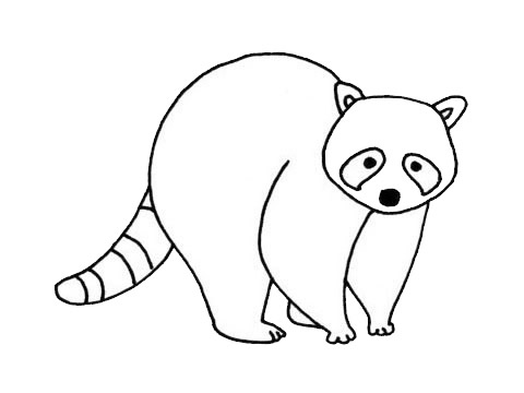 小浣熊兒童簡(jiǎn)筆畫