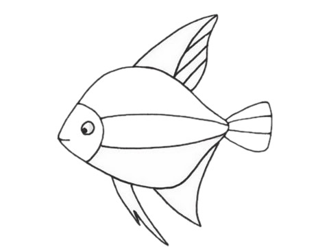 一組關于熱帶魚的簡筆畫大全