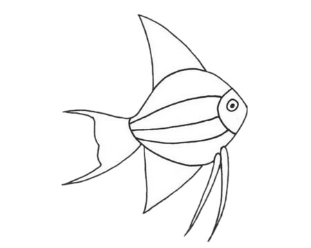 一組關于熱帶魚的簡筆畫大全