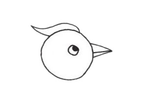 樹(shù)干上的啄木鳥(niǎo)簡(jiǎn)筆畫(huà)