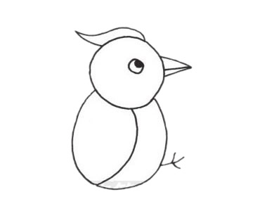 樹(shù)干上的啄木鳥(niǎo)簡(jiǎn)筆畫(huà)