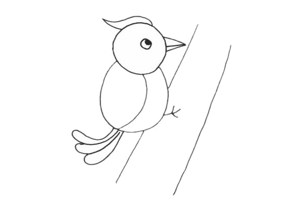 樹(shù)干上的啄木鳥(niǎo)簡(jiǎn)筆畫(huà)