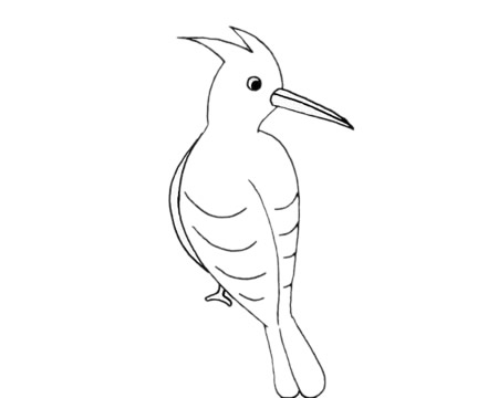 簡(jiǎn)單易學(xué)的啄木鳥(niǎo)兒童畫(huà)