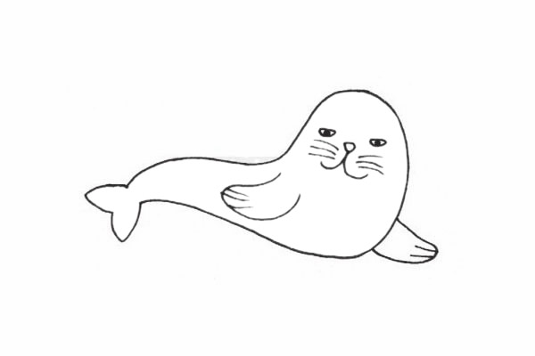 海獅怎么畫最簡單