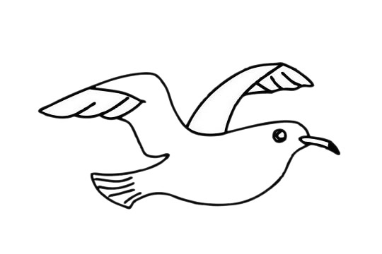 關(guān)于海鷗的簡筆畫