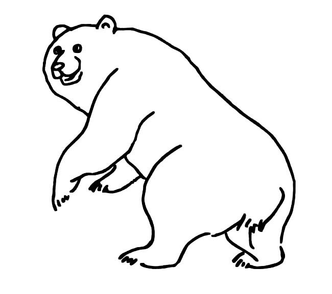 一組關(guān)于北極熊的簡(jiǎn)筆畫 一組關(guān)于北極熊的簡(jiǎn)筆畫
