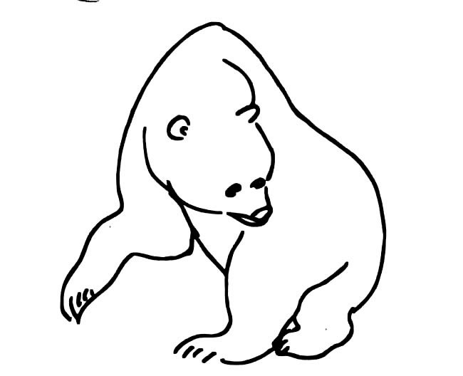 一組關(guān)于北極熊的簡(jiǎn)筆畫 一組關(guān)于北極熊的簡(jiǎn)筆畫