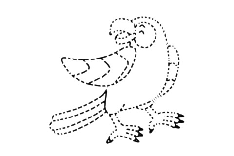 一組鸚鵡簡筆畫大全