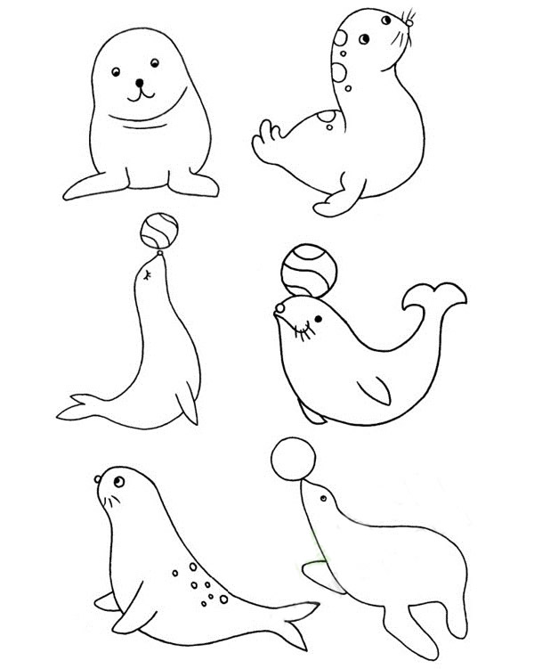 海豹兒童畫簡單畫法