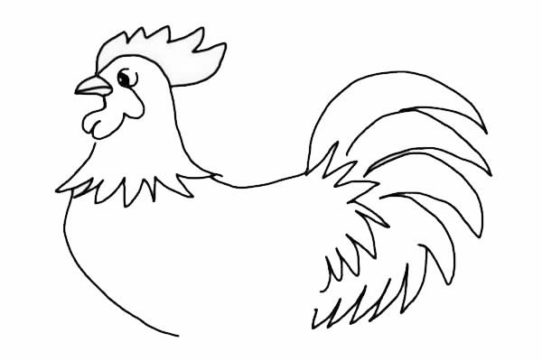 大公雞簡(jiǎn)筆畫(huà)詳細(xì)步驟