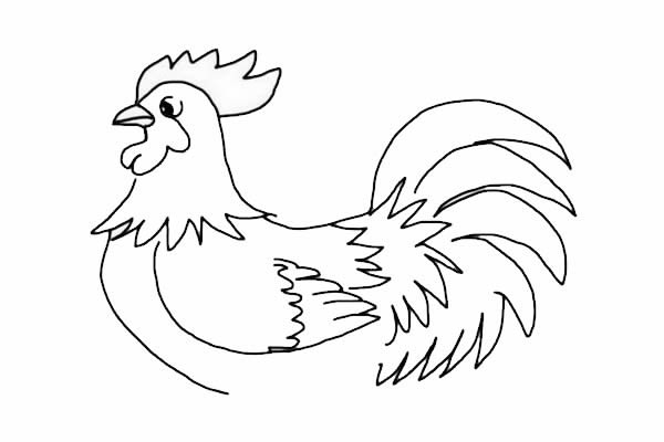 大公雞簡(jiǎn)筆畫(huà)詳細(xì)步驟
