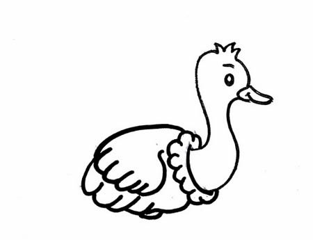 鴕鳥簡筆畫怎么畫簡單又好看