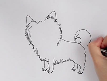 可愛的蝴蝶犬簡(jiǎn)筆畫步驟