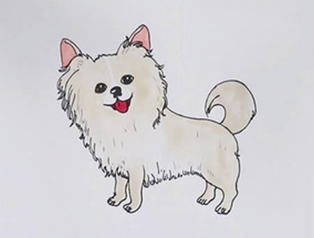 可愛的蝴蝶犬簡(jiǎn)筆畫步驟