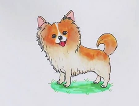 可愛的蝴蝶犬簡(jiǎn)筆畫步驟