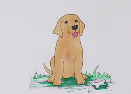 拉布拉多犬怎么畫簡單又好看