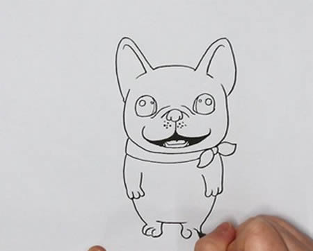 法國斗牛犬簡筆畫步驟