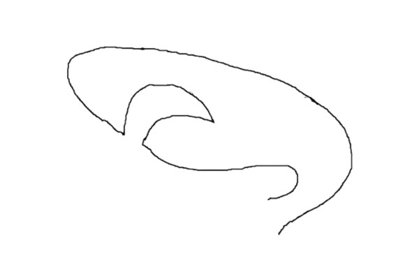 鯊魚簡(jiǎn)筆畫怎么畫簡(jiǎn)單兇狠 彩色畫法