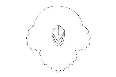 貓頭鷹簡(jiǎn)筆畫怎么畫簡(jiǎn)單又漂亮