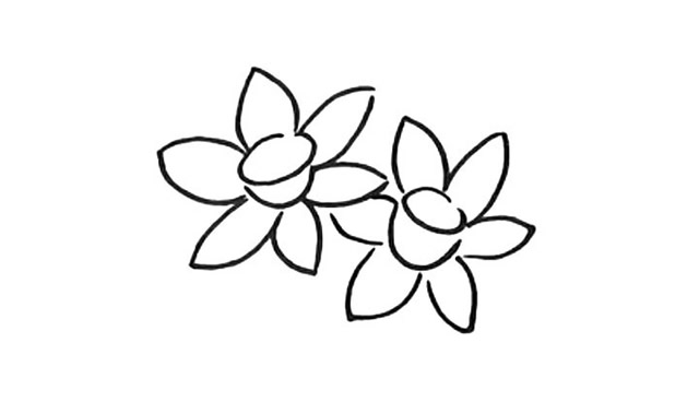 漂亮的水仙花簡(jiǎn)筆畫(huà)教程