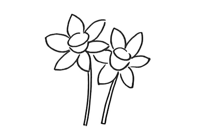 漂亮的水仙花簡(jiǎn)筆畫(huà)教程