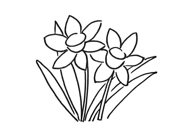 漂亮的水仙花簡(jiǎn)筆畫(huà)教程