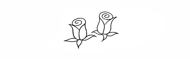 兩支帶刺的玫瑰花簡(jiǎn)筆畫步驟
