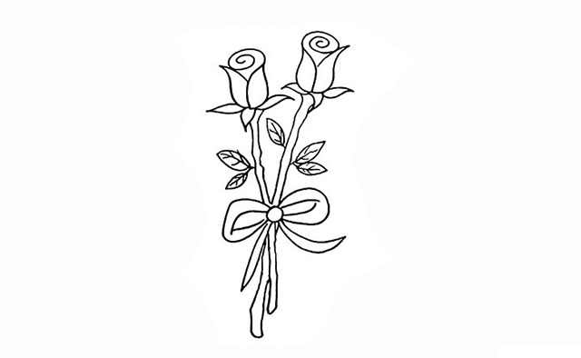 兩支帶刺的玫瑰花簡(jiǎn)筆畫步驟