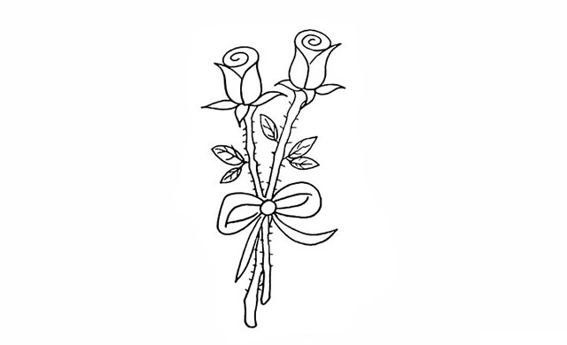 兩支帶刺的玫瑰花簡(jiǎn)筆畫步驟
