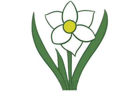 水仙花簡筆畫完成圖