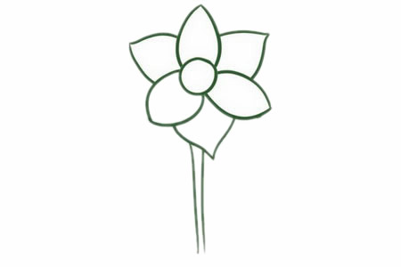 水仙花簡筆畫圖片