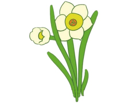 漂亮的水仙花兒童簡筆畫