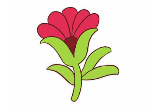 簡單的雞冠花怎么畫