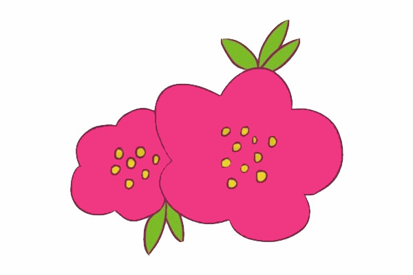 帶顏色的海棠花簡筆畫怎么畫? 帶顏色的海棠花簡筆畫怎么畫?