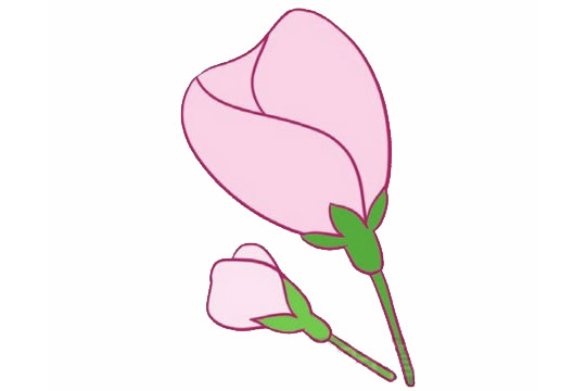 粉色的海棠花簡筆畫