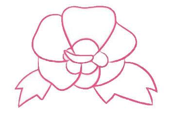 帶顏色的木槿花簡筆畫怎么畫？