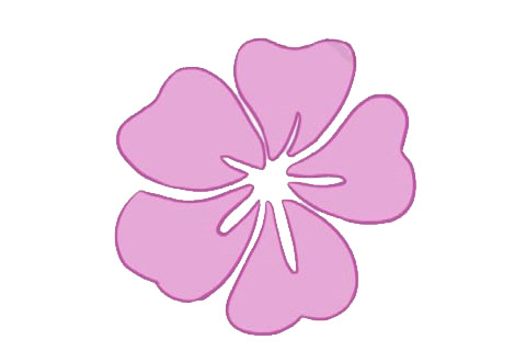 木槿花的簡(jiǎn)單畫法 木槿花的簡(jiǎn)單畫法