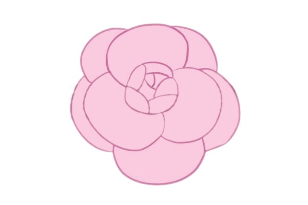 關(guān)于山茶花的簡筆畫