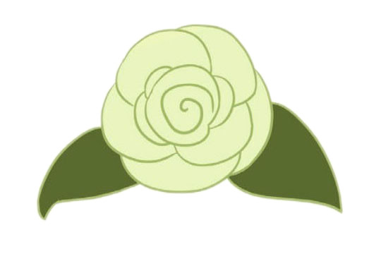 涂色的山茶花簡筆畫