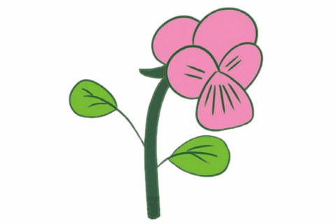 三色堇簡筆畫步驟教程