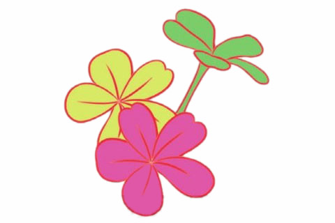 荼蘼花簡筆畫步驟教程