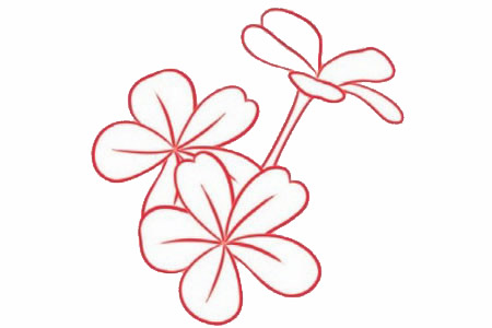 荼蘼花簡筆畫步驟教程