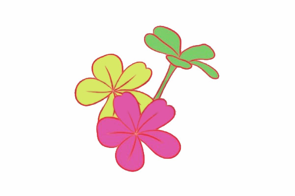 荼蘼花簡筆畫步驟教程